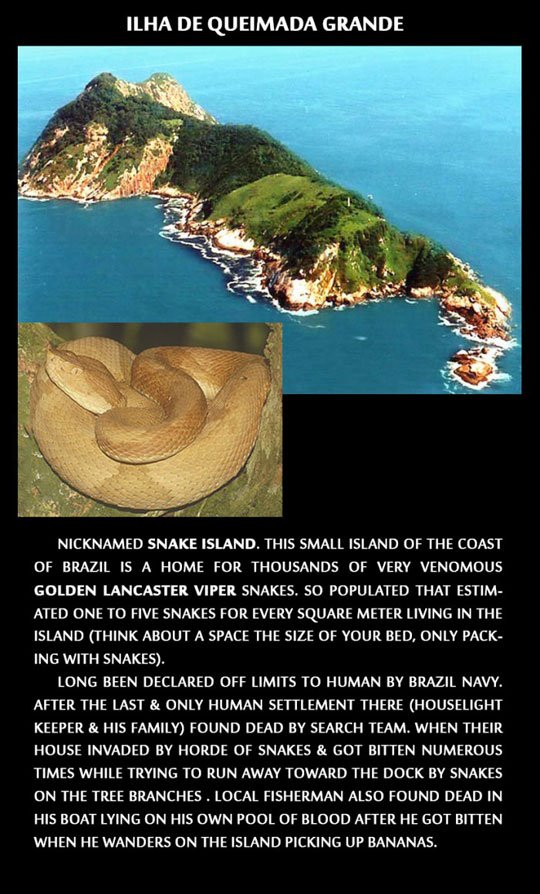The-Story-Of-Snake-Island