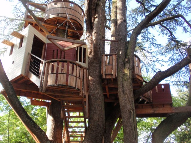 9_Tree House Château_de_Langeais