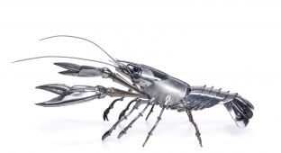 4.Crayfish