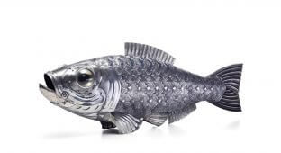 Fish02R