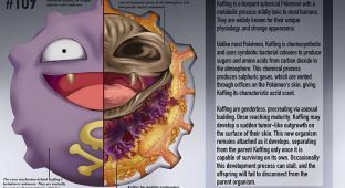 pokemon anatomy pokenatomy christopher stoll 4