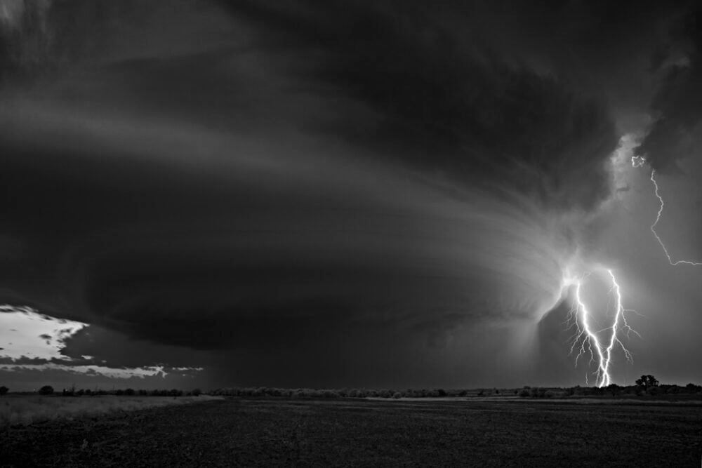 Mitch Dobrowner Disk and Light