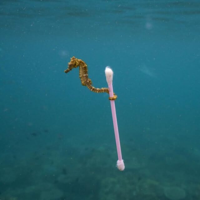 National Geographic pergunta: planeta ou plástico?