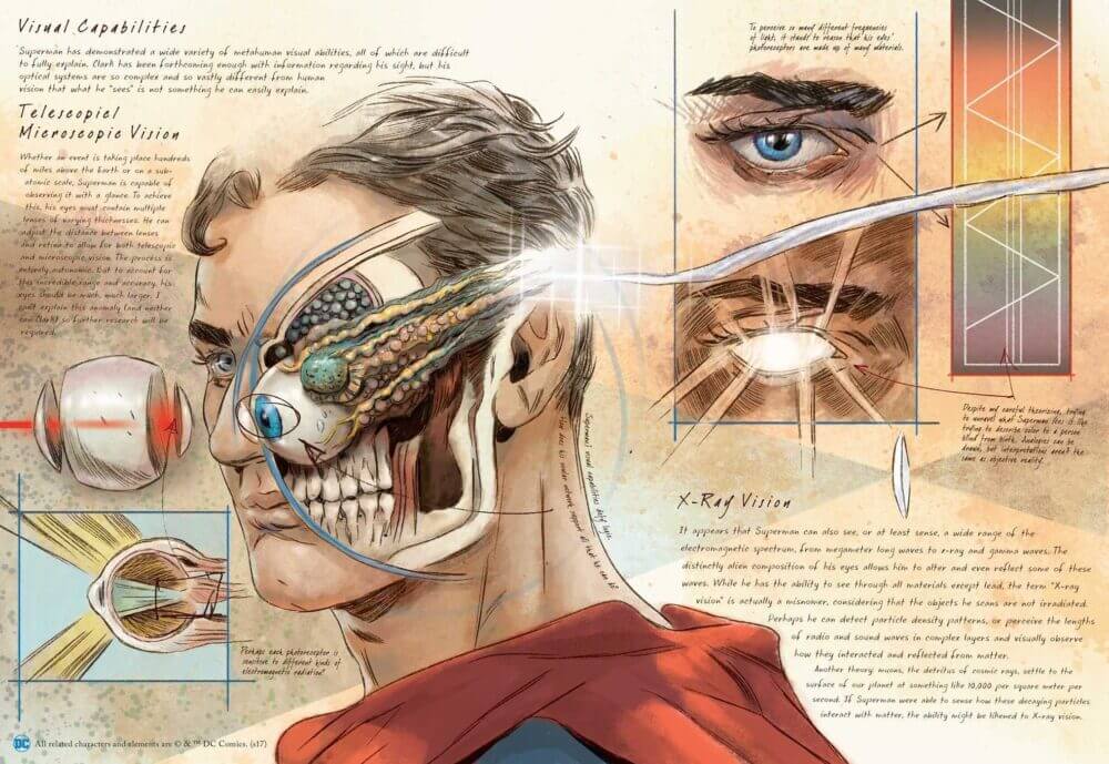 A anatomia dos metahumanos da DC Comics