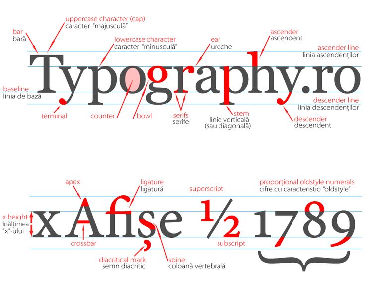 54ab1e9009d17c42d94ae633c90cc714 creative typography typography design