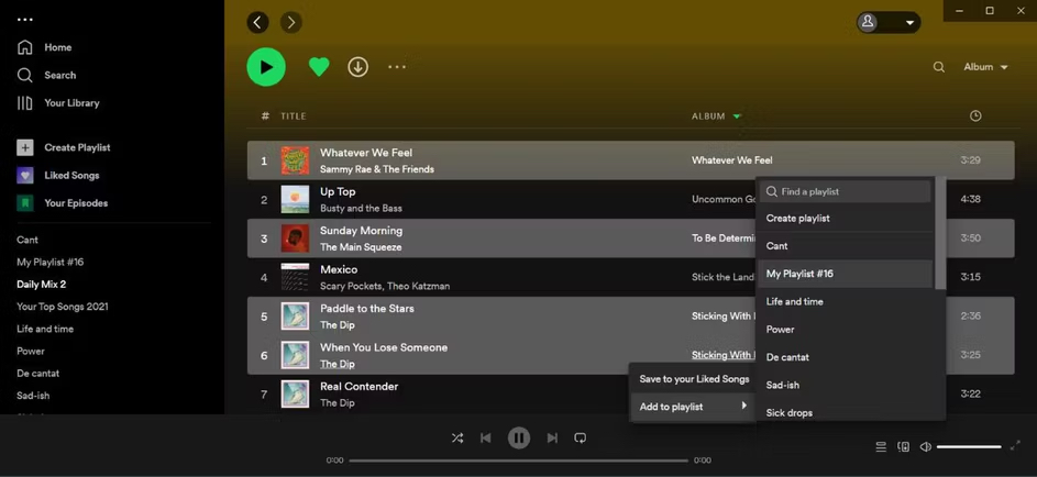 interface do Spotify