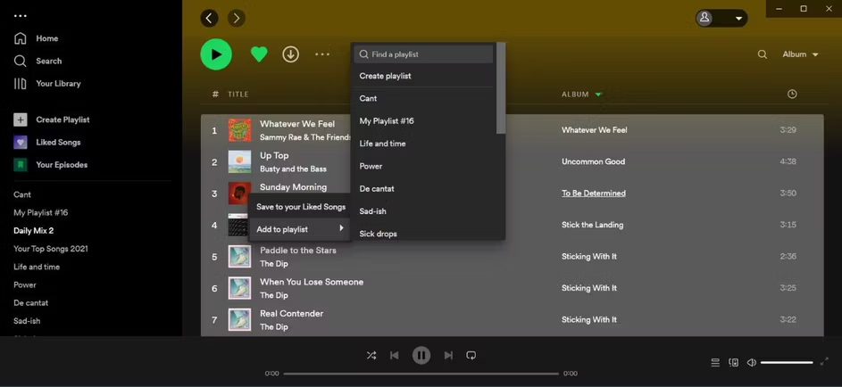 interface do Spotify