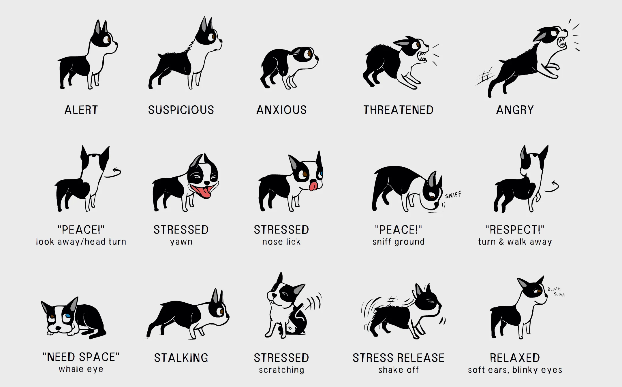 Illustration of dog body language with various behaviors like alert, suspicious, anxious, threatened, angry, stressed, and relaxed along with descriptive captions explaining each pose.