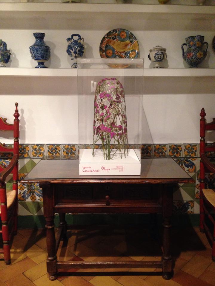 Vintage ceramic collection on display with traditional tile work and wooden furniture in cultural museum setting.