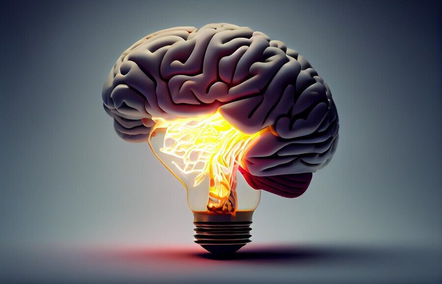 3D illustration of a human brain forming the top part of a light bulb signifying creativity and innovation.