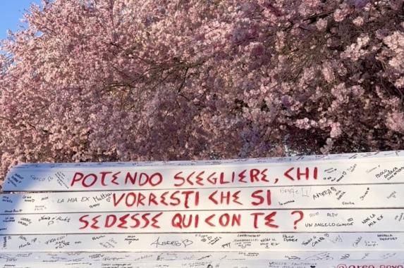 Bench with handwritten messages under cherry blossom trees in bloom.