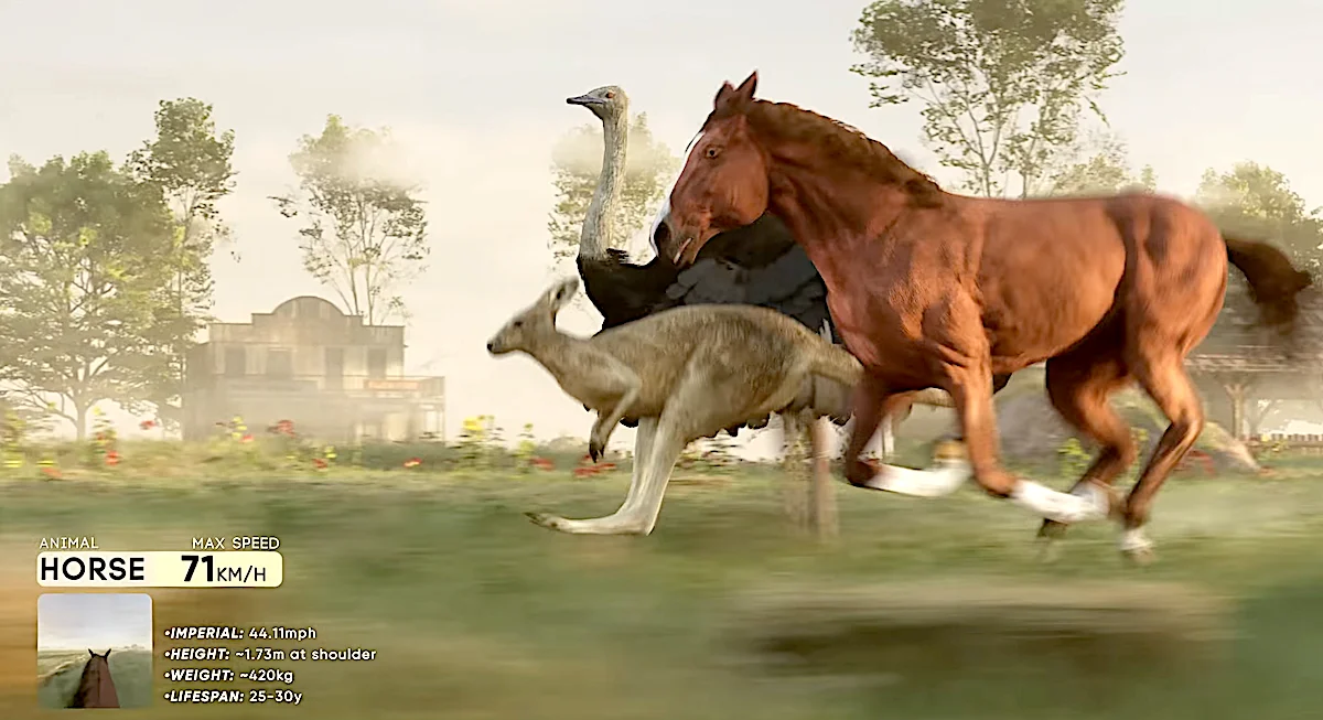 Comparando a velocidade de mais de 50 animais terrestres. Brown horse running at maximum speed with kangaroo and ostrich in natural habitat, displaying speed and physical characteristics of a horse.