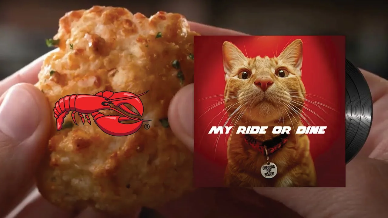 Cheddar Bay Biscuit with lobster logo held by a person and a cat with 'MY RIDE OR DINE' slogan and vinyl record.